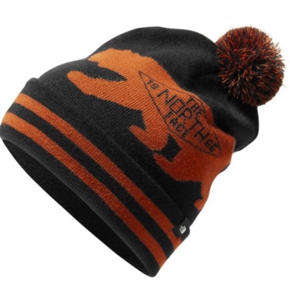 the north face ski tuke v